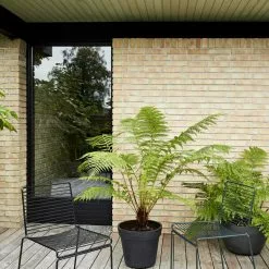 Hay Hee Esszimmerstuhl, Schwarz 7 Hay Hee Esszimmerstuhl, Schwarz -Cozy Living hay hee esszimmerstuhl 5