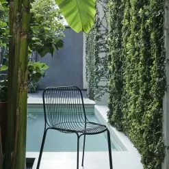 Kartell Hiray Stuhl, Schwarz -Cozy Living kartell hiray 2